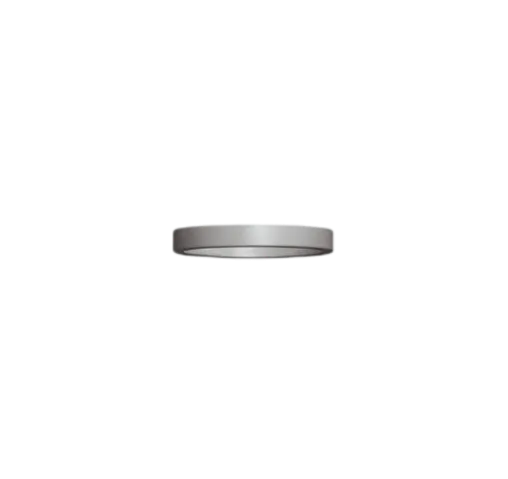 Piston Retainer Ring